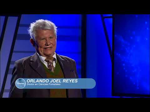 ¿Cuál es la situación de la política de conservación de la biodiversidad en Europa?