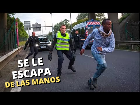 ¿Cuál es la situación de la inmigración ilegal en Europa?